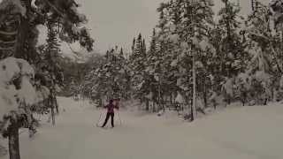 preview picture of video 'Part 3 - Clarenville Ski Trails - Ski to Bear Pond (10km return)'