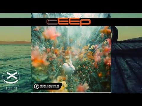 PHURS + Booty Leak & Project Gemini - As Long As You Love Me  😍🔥