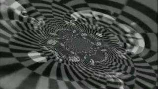 THE STOOGES - We Will Fall