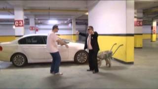 WOW Istanbul Hotels Gangnam Style Parody 2013