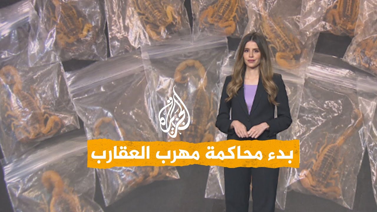 شبكات | توقيف شخص في جنوب إفريقيا حاول تهريب 150 عقرباً حياً
