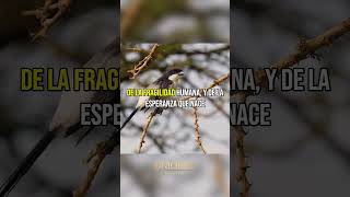 El SALMO 41 | EL SEÑOR RESTAURA TU SALUD Y TE DA NUEVAS FUERZAS #oraciondelamanana #oracionmatutina