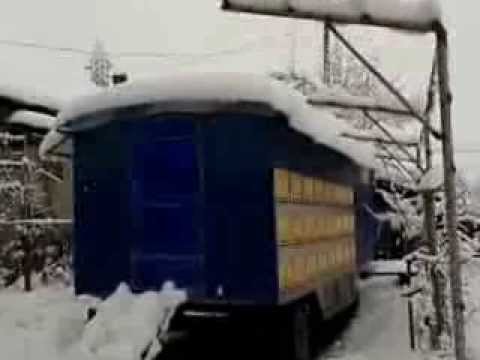 stupi Gheorghita C Berbesti Vl 2