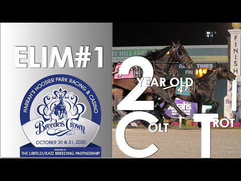 2020 Breeders Crown Elim#1 - In Range - 2CT