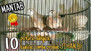 Download lagu TOP 10 PERKUTUT BANGKOK SUARA MERDU MILIK JIHAN BIRD FARM PASURUAN mp3 Download lagu TOP 10 PERKUTUT BANGKOK SUARA MERDU MILIK JIHAN BIRD FARM PASURUAN mp3