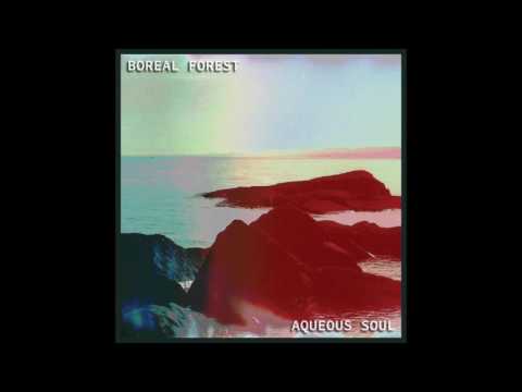 Boreal Forest - Aqueous Soul