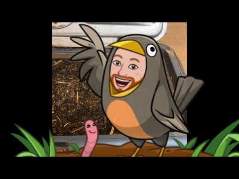 Feeding the colony (two worm species) 11/04/2021