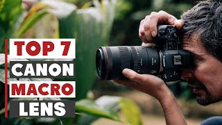 Best Canon Macro Lenses for Close-Up Photography in 2025