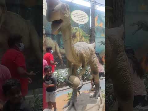Dinosaur Ride OViraptor