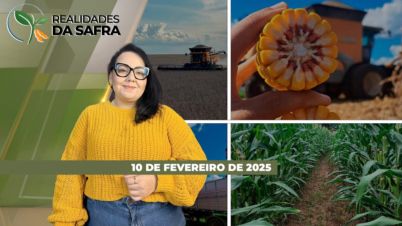 Enquanto Laguna Carapã/MS pode ter produtividade abaixo de 40 scs/ha, Goiás dá sequência à colhei...