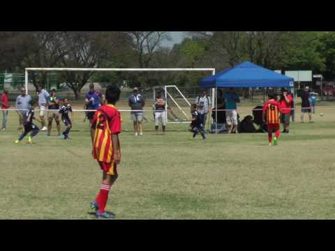 SHIELD CUP FINAL U11's 2016