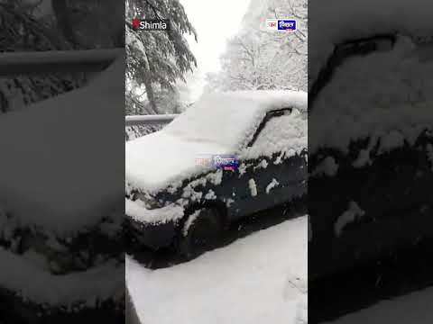 बर्फ़ से ढका शिमला Winter Wonderland का लाइव नज़ारा