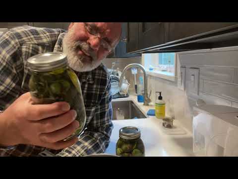 Curing Green Olives in Brine