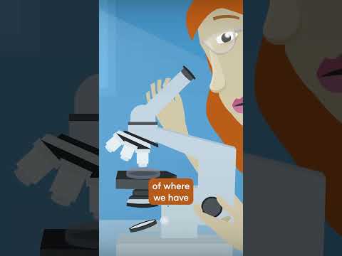 Knowing Things Intellectually vs Knowing Them Emotionally #theschooloflife #animation #vs