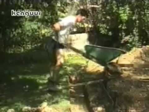 Te caci pe tine de ras