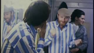 The Beach Boys a Retrospective look back - Shut Down - Dance - Wild Honey