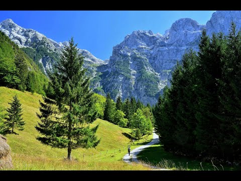 El silbador de Trumansburg (Año 1969 -1970)