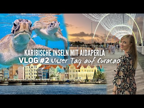 Karibische Inseln mit AIDAperla 2023 - Vlog #2: Schildkröten, Sonne & Meer auf Curacao
