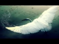 Idenline - Way To An Angel 