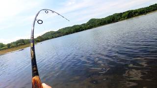 I trained the fish to bite (None Stop Action)