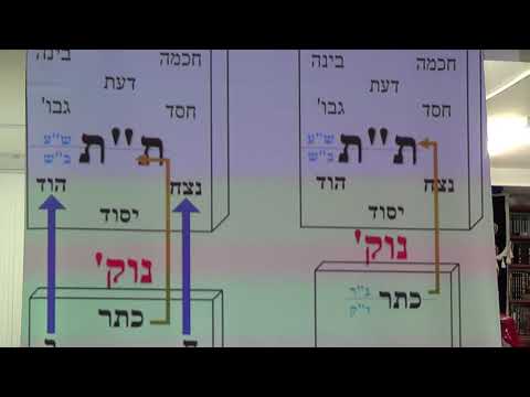 'כריעות זקיפות ה