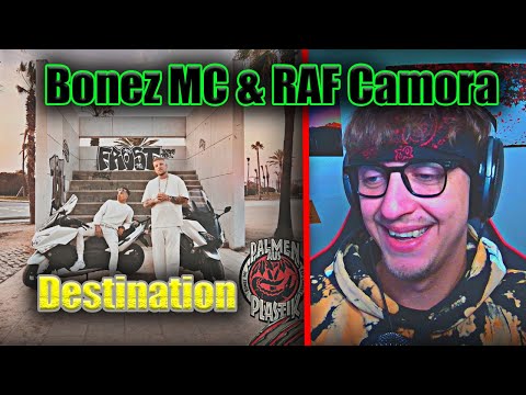 ProjektPi REACTS to Bonez MC, RAF Camora - Destination