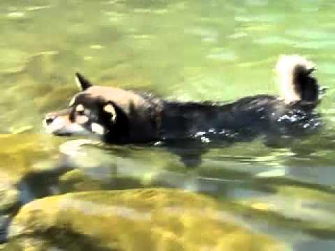 小寶游泳~~北埔冷泉(原發表者:阿寶)(影片)