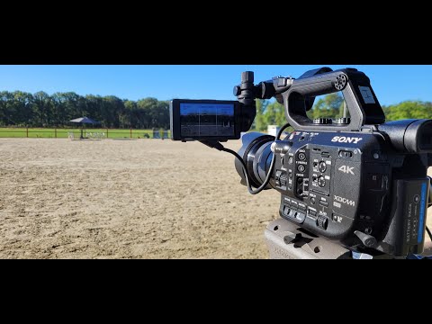 Fokdag Fokvereniging Het Friesch Paard Limburg | 2 Juli 2022