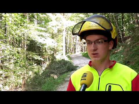 TELE TOP: Der Thurgau braucht neue Forstwarte und Förster