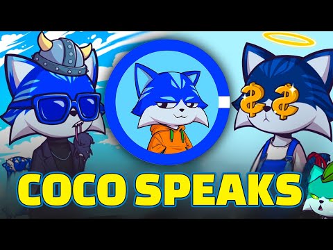 TOSHI Dev Has Strong Words For BASE Execs