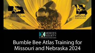 Bumble Bee Atlas Training for Missouri and Nebraska 2024