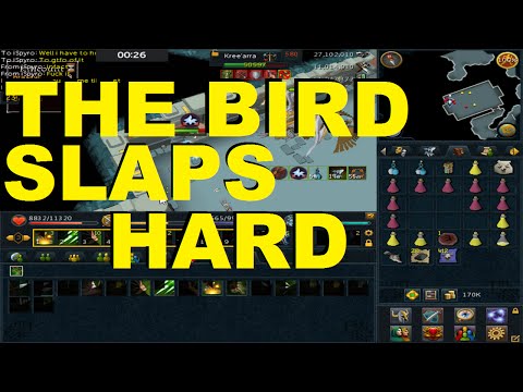 After The Recent Runescape Update... Kree Arra Smacks You!