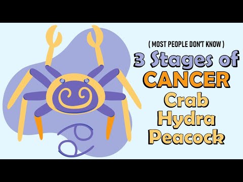 3 Stages of CANCER Zodiac Sign