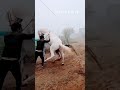 Nukrahorse Mating