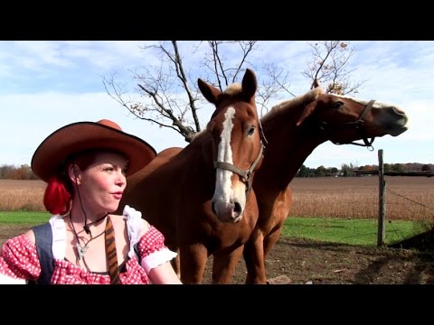 GINGER ST. JAMES - Country Bumpkin'