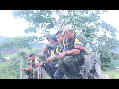 Las Farc-EP en sus campamentos de PAZ