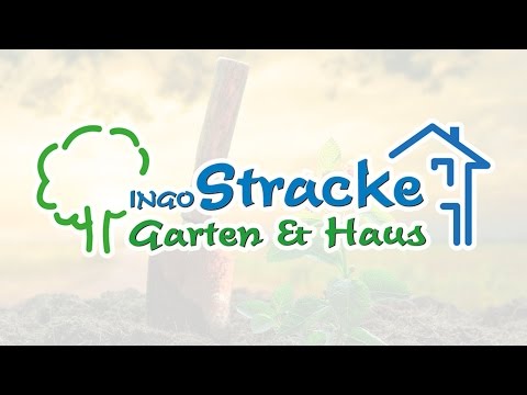 download lagu mp3 mp4 Garten Landschaftsbau Bochum, download lagu Garten Landschaftsbau Bochum gratis, unduh video klip Garten Landschaftsbau Bochum