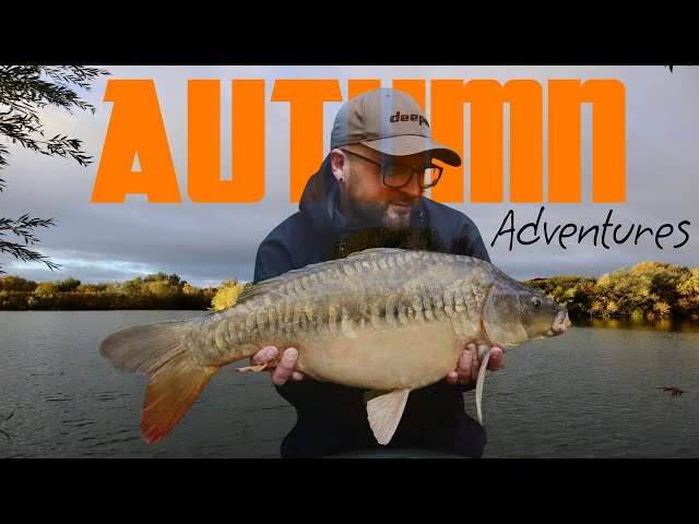 Judge.me YouTube video placeholder