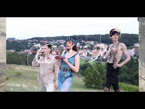 Publication NOVY ZINE