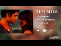 Tum Mile Songs Emraan Hashmi KK Bollywood Hits Overwhelmed Soul
