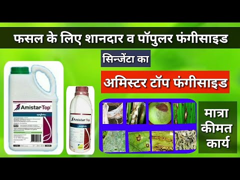 Syngenta Amistar Top Fungicide/ Azoxystrobin & Difenoconazol/ Amistar Top