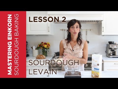 Einkorn Sourdough Levain - Mastering Einkorn Sourdough Baking : Lesson 2