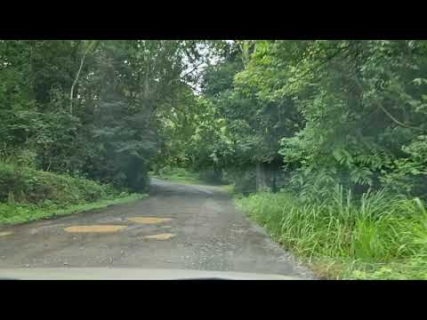 Camino desde Casa Sula a La Ecovilla