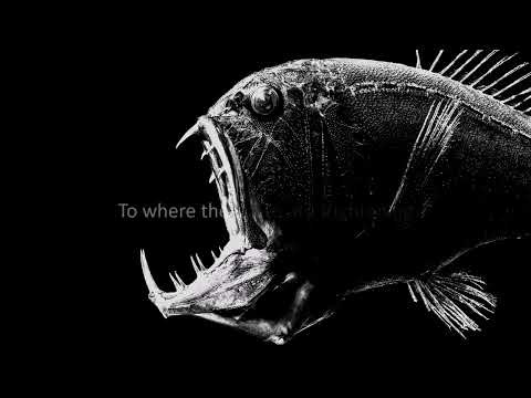 Frightening Fishes - Title Theme for Shrinking.