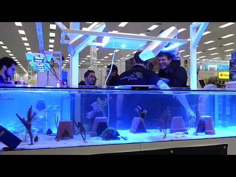 download lagu mp3 mp4 Sunmotion, download lagu Sunmotion gratis, unduh video klip Sunmotion