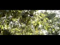 Lulu Ungondibwelezera Official Video