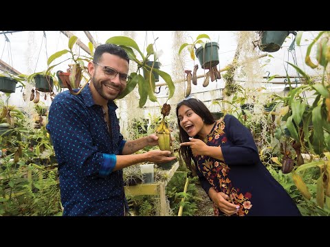 Echémonos Flores - Ep #01