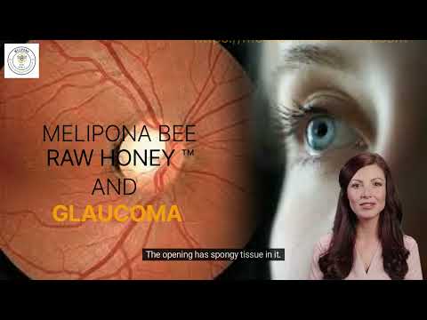 , title : 'MELIPONA BEE RAW HONEY™ AND GLAUCOMA'