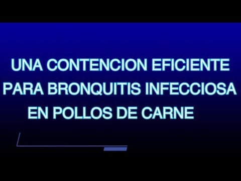 , title : 'Una Contención eficiente para Bronquitis Infecciosa,  en Pollos de Carne'