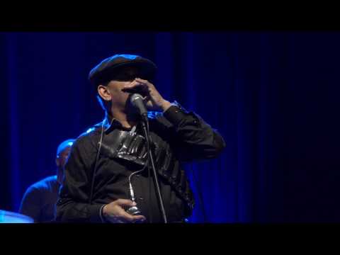 Sugar Blue -  Hoochie Coochie Man